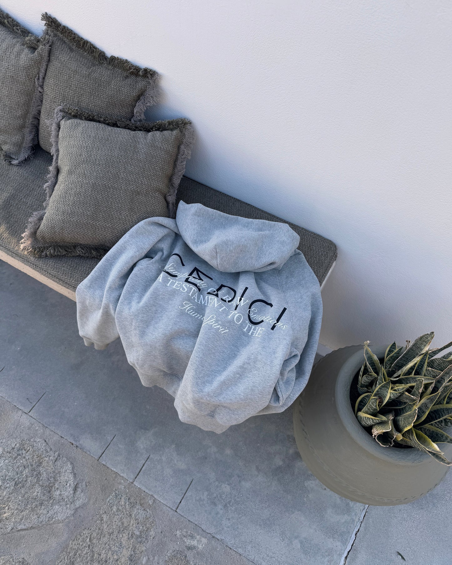 Human Spirit Hoodie