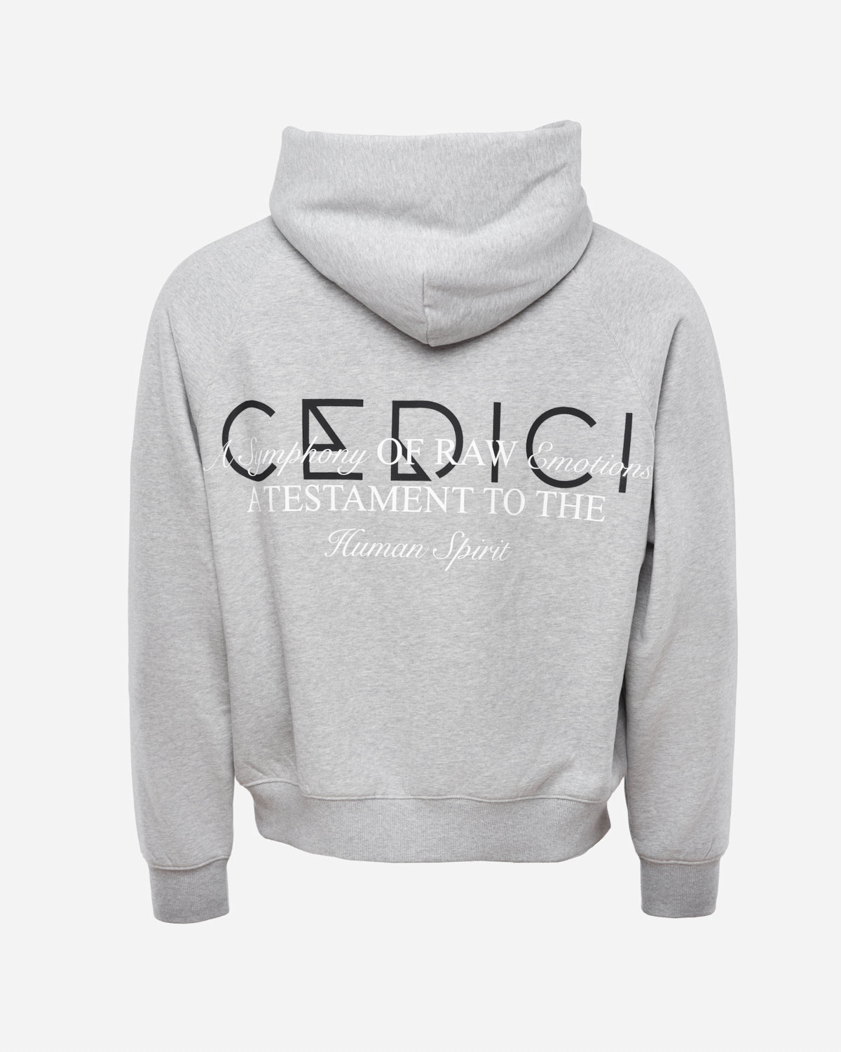 CEDICI Statement Logo Hoodie