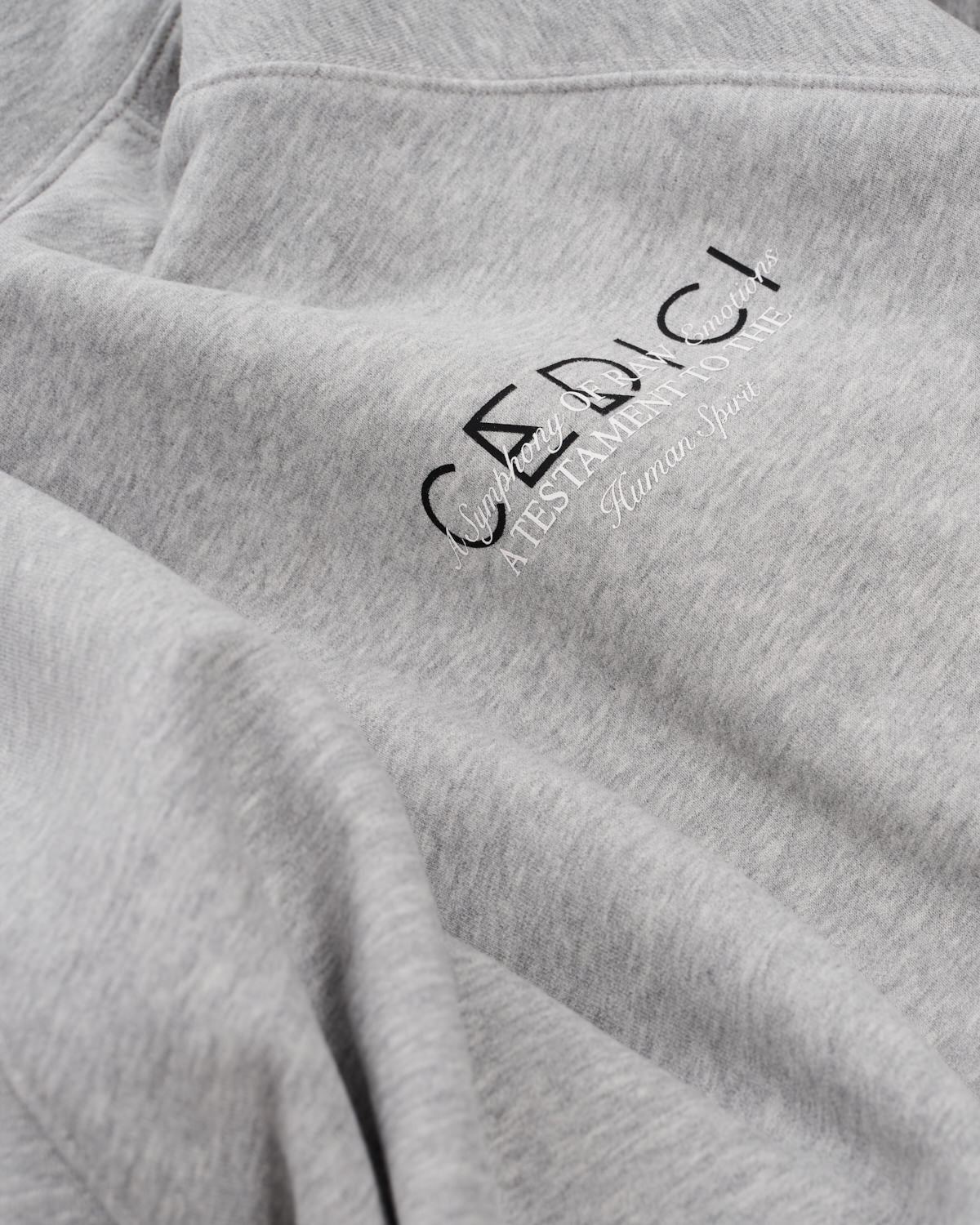 CEDICI Statement Logo Hoodie